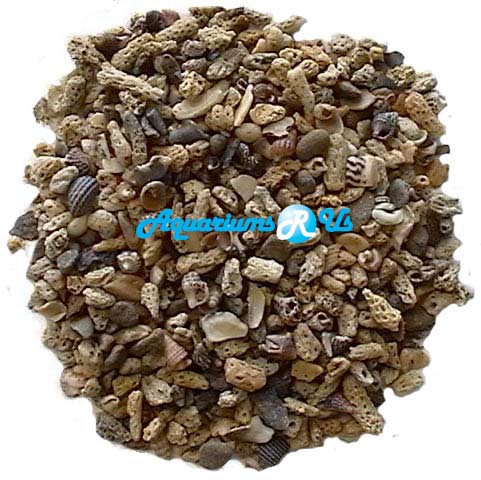 COURSE SHELL GRIT