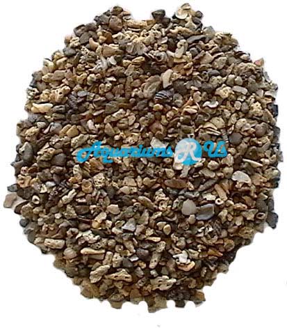 MEDIUM SHELL GRIT